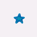 Ocean Starfish Charm