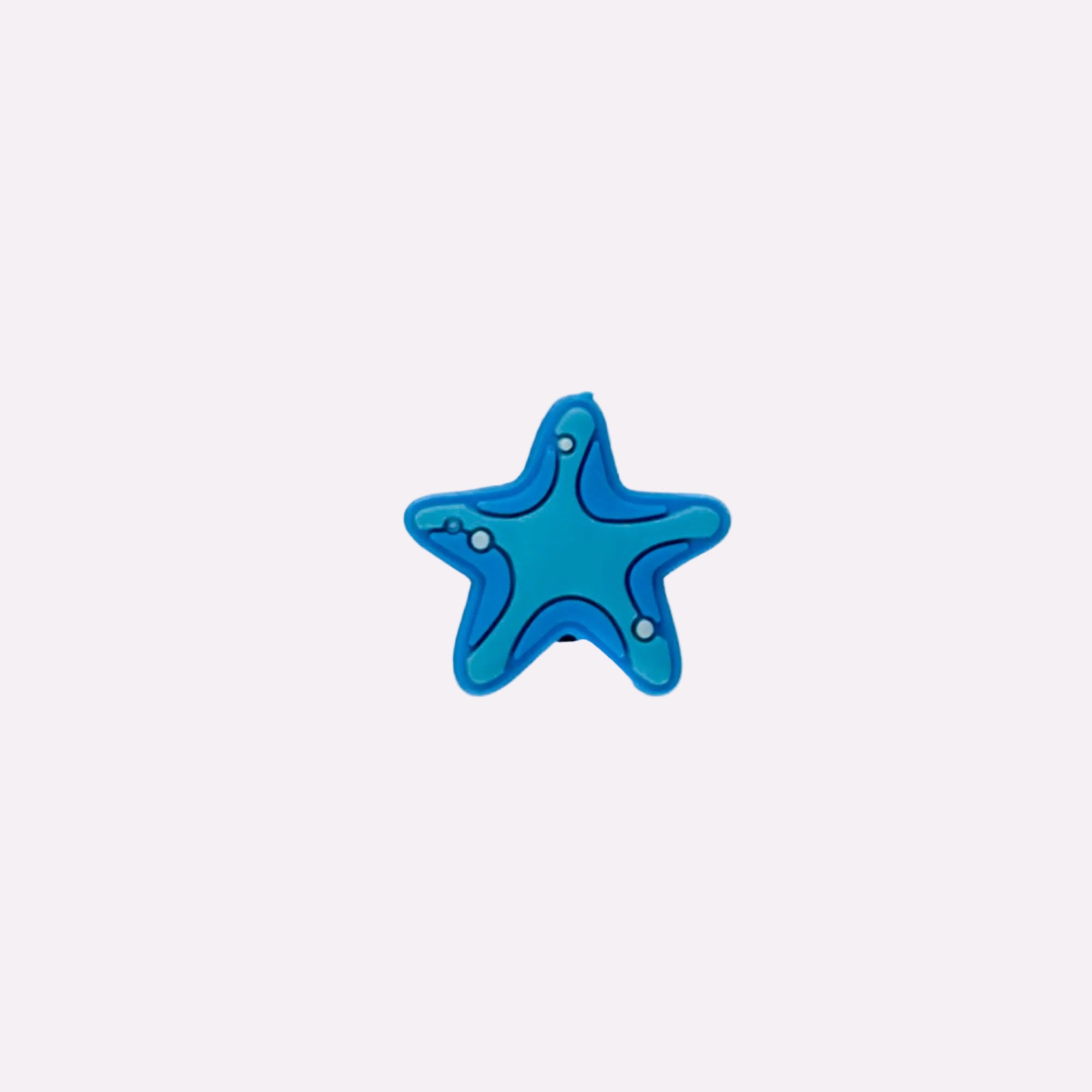 Ocean Starfish Charm