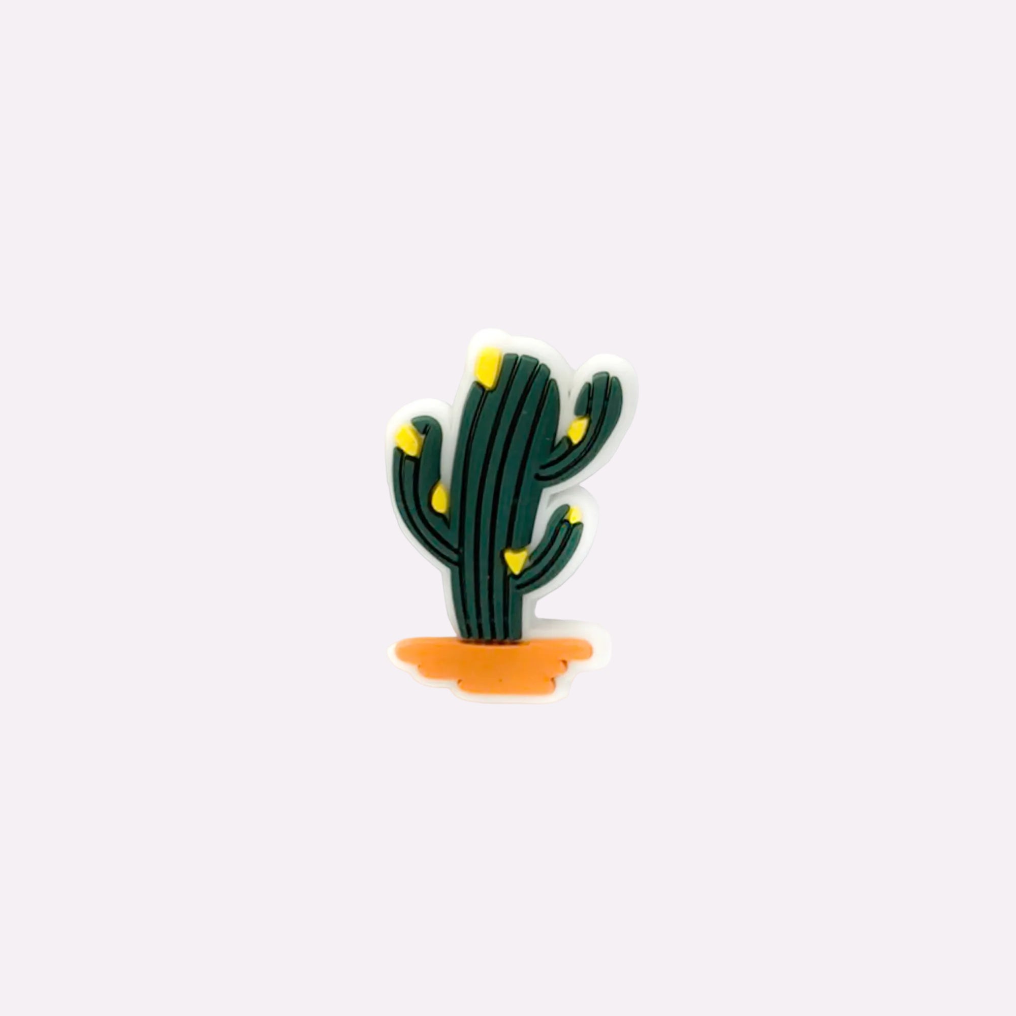 Desert Cactus Charm