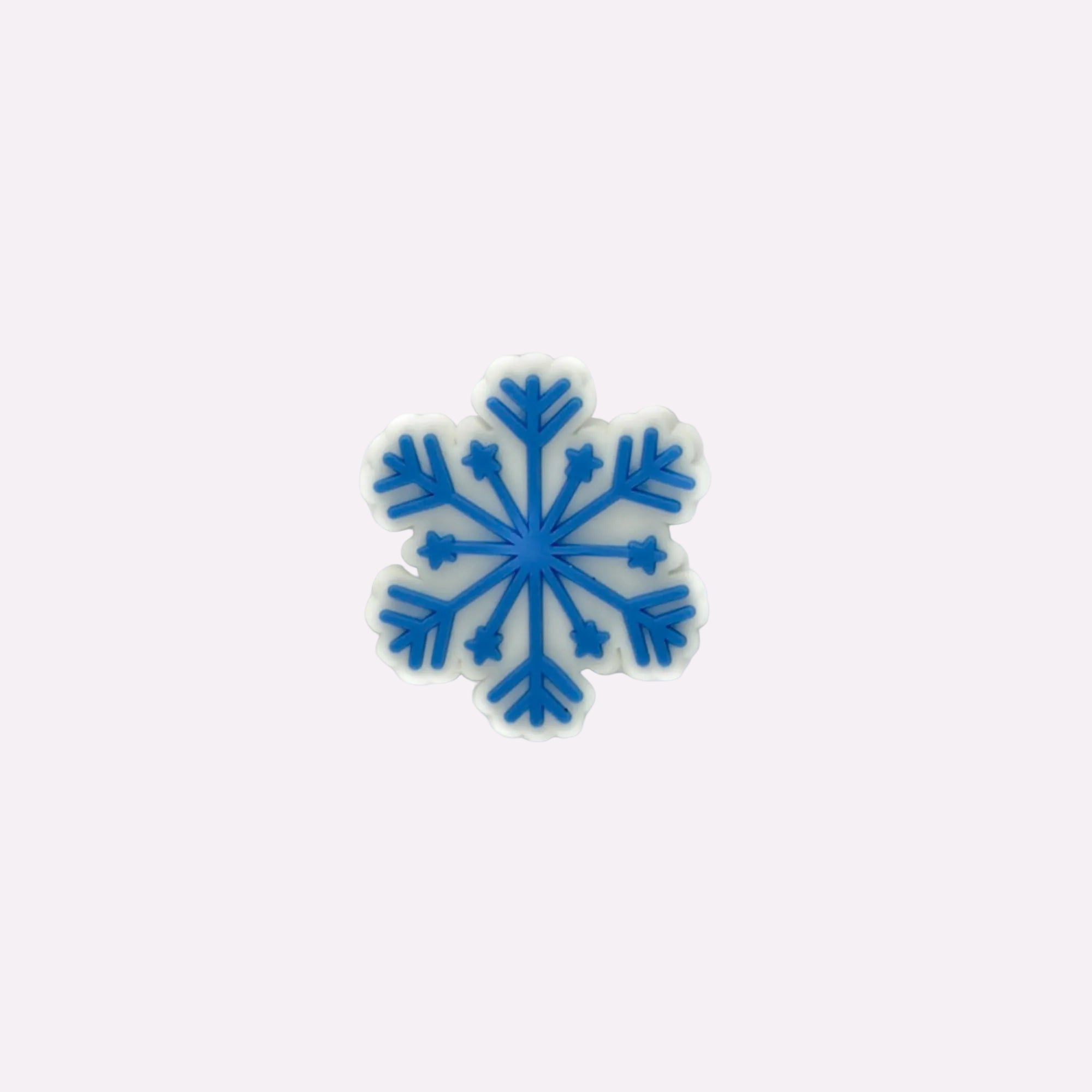 Winter Snowflake Charm