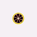 Citrus Slide Charm