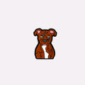 Brown Boxer Puppy Charm